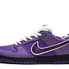 SB Dunk Low Concepts Purple Lobster - BV1310-555 | Good Reps Ret For Shoes