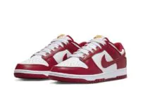 Where to buy the SB Dunk Low Gym Red Sneakers? - DD1391-602 | Good Reps Ret For Shoes