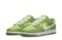 Nike SB Dunk Low Chlorophyll - DJ6188-300 | Buy Reps Ret Sneakers Website