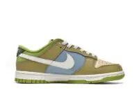 What is the SB Dunk Low Brown Green Reps Sneakers? - DV9108-711 | Buy Reps Ret Sneakers Website